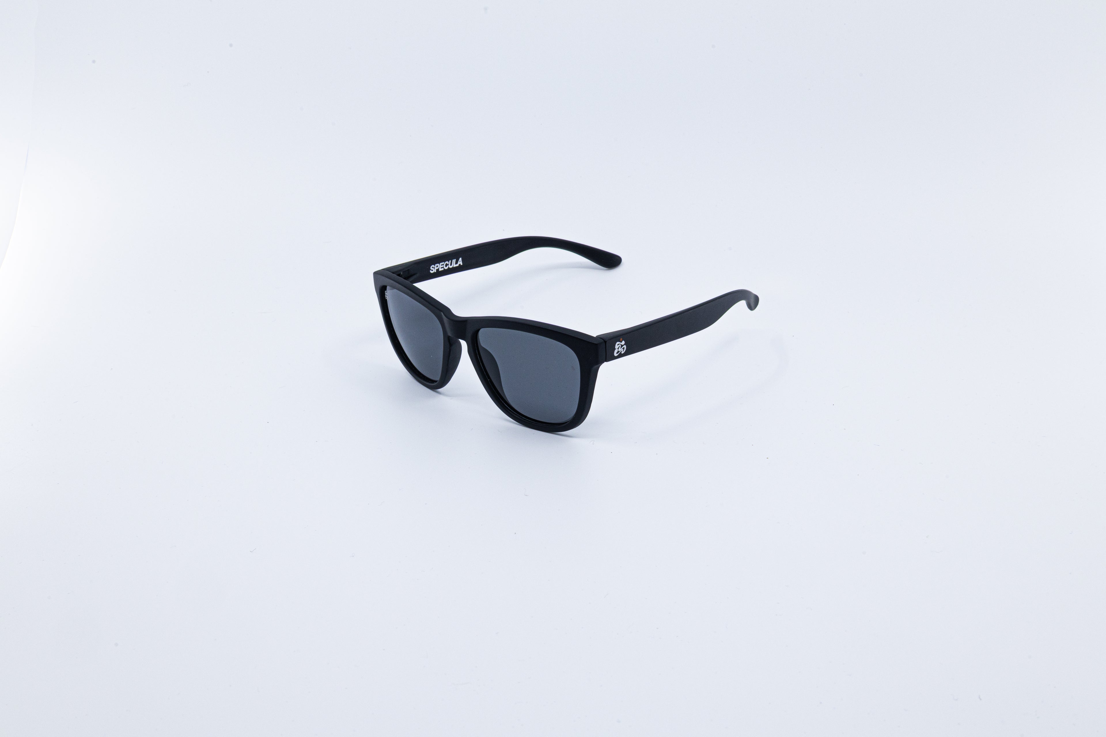 Ingstad Black Polarized