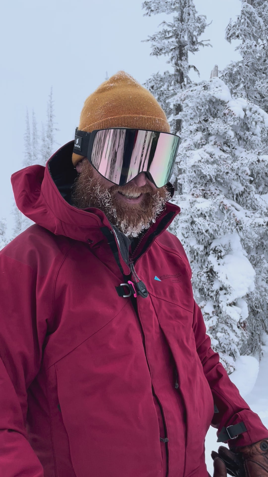 Eirikson (KUN LINSE) Clear